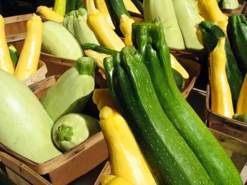 带你吃瓜山东章丘,一场别开生面的“吃瓜”之旅