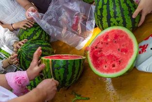 考试后吃瓜视频,揭秘热门吃瓜视频背后的故事