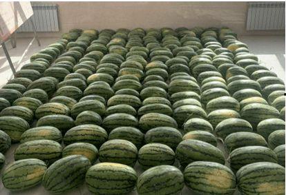 校园吃瓜纸条,揭秘那些吃瓜纸条背后的秘密