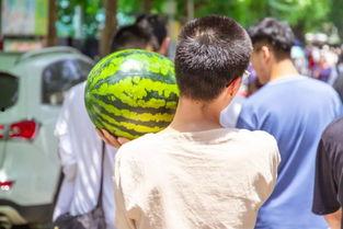 荔枝女队吃瓜,揭秘幕后故事与精彩瞬间