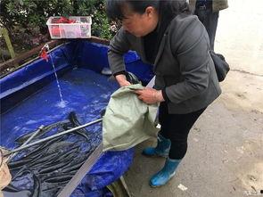 旅游局长吃瓜,一场意外的网络狂欢