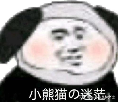 熊猫吃瓜吵架表情包,趣味横生的网络文化现象
