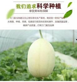 台州吃瓜社,揭秘台州美食圈的那些事儿