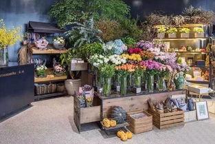 花店同行吃瓜,揭秘行业“吃瓜”背后的真相与启示