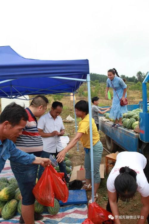 榆中吃瓜群众,揭秘当地生活百态