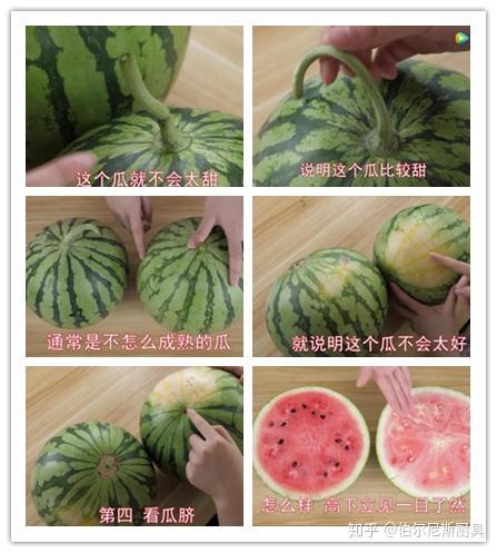 瓜藤吃瓜视频,揭秘网络热门视频背后的故事与真相