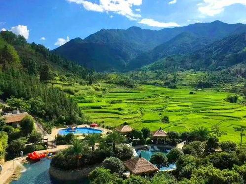 汤泉吃瓜,揭秘夏日消暑新潮流