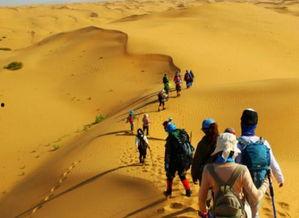 大漠吃瓜客网,揭秘沙漠中的网络奇观