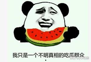 吃瓜事件链接,网络舆论的风暴与真相探寻