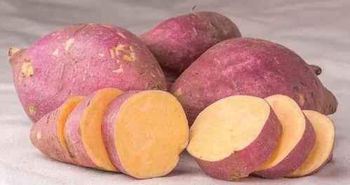 毛不易瓜吃地瓜,瓜吃地瓜的故事