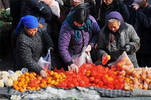 新泰龙廷吃瓜,一场吃瓜盛宴背后的故事