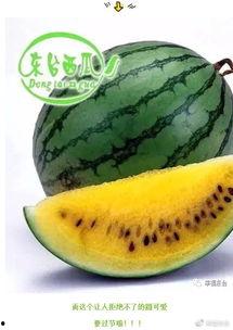 吃瓜网打不开,揭秘背后原因及影响