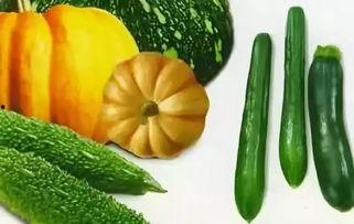 夏天吃的瓜图片,缤纷色彩下的清凉诱惑