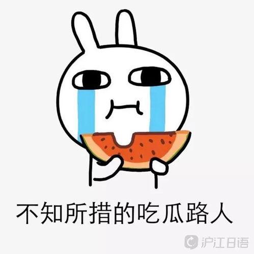 被迫吃瓜的日常,揭秘日常生活中的“瓜界风云”