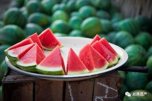 中亚吃瓜,一瓜在手，尽享丝路美食之旅