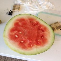 瓜冻起来怎么吃,瓜冻的创意食用方法揭秘