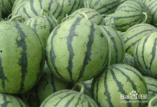 夏天吃瓜降暑吗,吃瓜降温，清凉一夏
