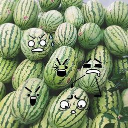 聪慧吃瓜,揭秘娱乐圈背后的真相与笑料