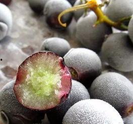 吃瓜不吃葡萄皮