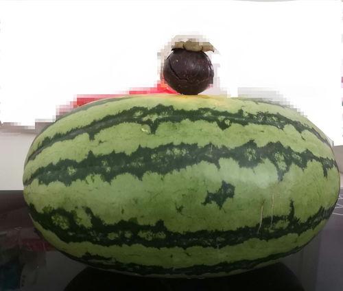 大家吃瓜都在哪里吃  第3张