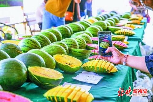 小孩抢瓜吃  第3张