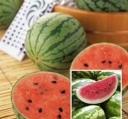 吃瓜网原视频,一场视觉盛宴背后的故事  第3张