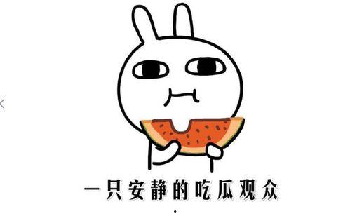 吃瓜吃糖啥意思,揭秘网络流行语的趣味与内涵