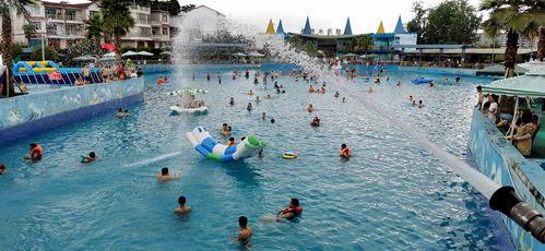 周末冲浪吃瓜,揭秘娱乐圈幕后故事  第3张