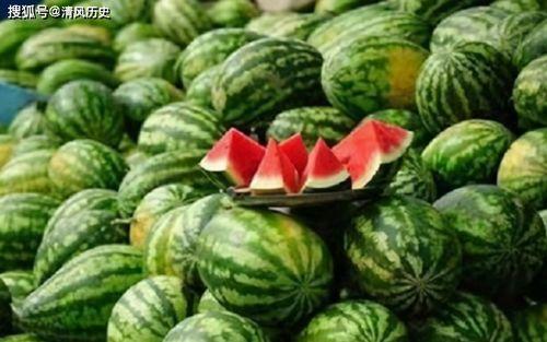 最新吃瓜的网站