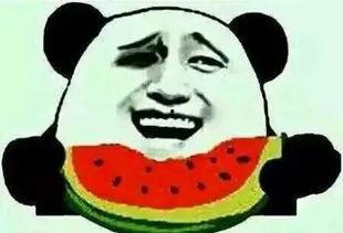 吃瓜群众听歌听歌,盘点热门歌曲背后的故事
