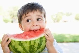 吃瓜避虫必看攻略,轻松享受清凉一夏  第2张