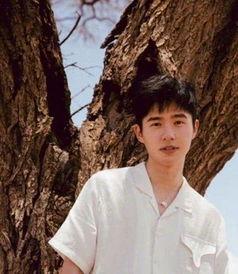 天涯吃瓜视频,揭秘网络热点背后的真相与笑料  第3张