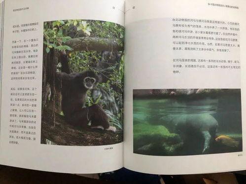 吃瓜型书单,跟随吃瓜群众，畅游明星八卦世界  第1张