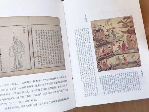 吃瓜型书单,跟随吃瓜群众，畅游明星八卦世界  第2张